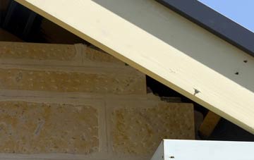 soffit repair Crathie